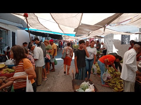 FEIRA LIVRE DE JUPI-PE COM MUITA FARTURA 07-11-2025