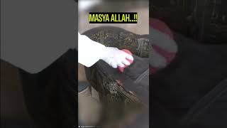 Download lagu Makam Fir'aun ditemukan Mumi di Thaw Rakht If mp3