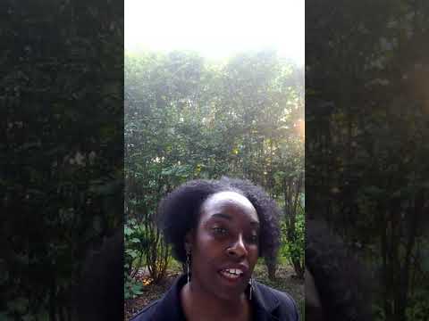 Promotional video thumbnail 2 for Transformational Living Speaker