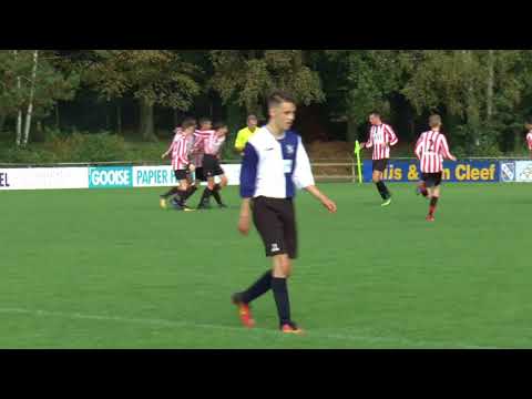 SDO.O17-1  -  HOLLANDIA.O17-2