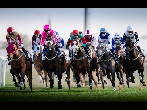 42nd Race Meeting of Season 2017/2018