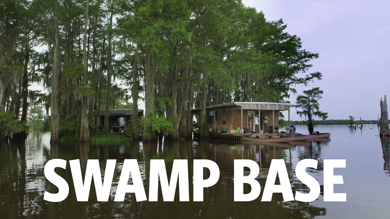 A visit to the Atchafalaya Swamp Base