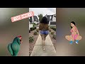 TikTok Pawg Twerk Mashup I Twerk TikTok Dance Shorts Twerk Bigbank Foryou Viral