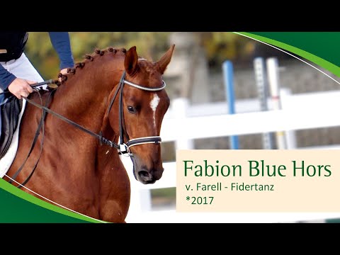 FABION BLUE HORS v. Farell - Fidertanz