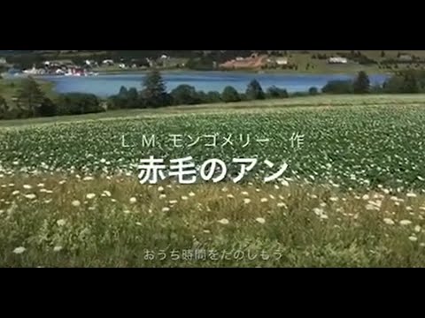 聖徳大学児童学部 赤毛のアン