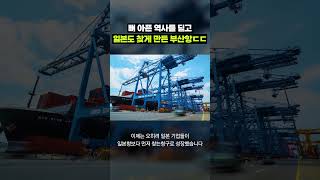 부산항의 눈물 젖은 과거... 들어보셨습니까?｜크랩