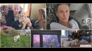 DITL: Chit Chat, Papa Visit... Hang'n Out