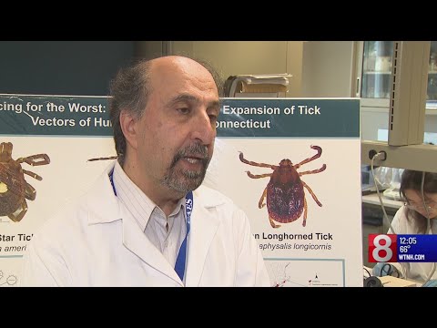 First longhorned tick infected with life-threatening bacterium ...