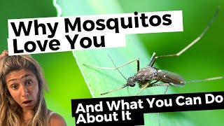 Why Mosquitos Love You (And How To Fix It)
