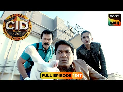 CID ने किया भविष्यवाणी की सच्चाई का पर्दाफाश | CID | सी.आई.डी. | 23 Oct 2025