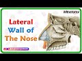 Lateral wall of the nose : Bones, Cartilages and Mucosa - #USMLE Anatomy | Medvizz