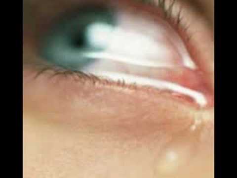 SI ME MUERO ANTES QUE TU