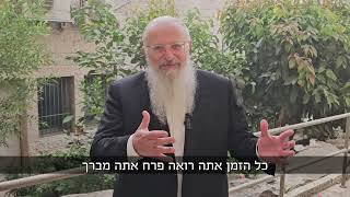 דרכו של דוד המלך - מאה ברכות | הרב שמואל אליהו | הלכה יומית | י״ז אב תשפ״ה (הרב שמואל אליהו) - התמונה מוצגת ישירות מתוך אתר האינטרנט יוטיוב. זכויות היוצרים בתמונה שייכות ליוצרה. קישור קרדיט למקור התוכן נמצא בתוך דף הסרטון