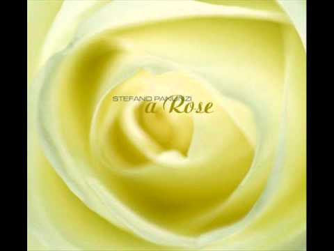 Stefano Panunzi Fades