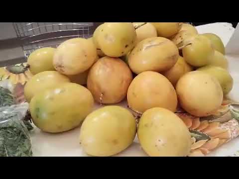 La Provincia potencia el crecimiento de los artesanos en el marco de la 79° Expo Rural Salta