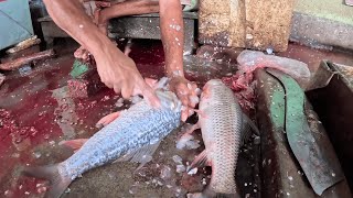 Expert Cutting 2 Rohu Fish at a Time