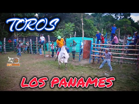 TOROS EN LOS PANAMAES - RÍO DE JESÚS, SÁBADO 04 DE ABRIL DEL 2026