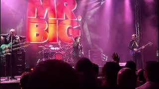 Mr. Big - A Little Too Loose (Live Mexico City) | &quot;The Big Finish&quot; Tour 2024 | Auditorio BB