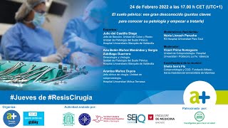 El suelo pélvico: ese gran desconocido (puntos claves para conocer su patología)