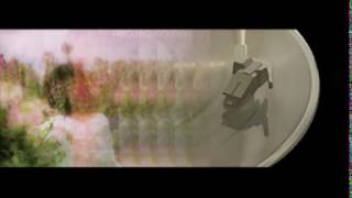 Shutter Song - Hibou