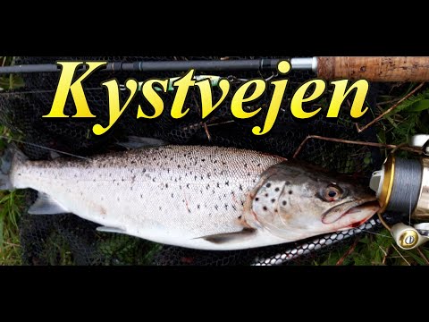 Kystvejen Okt 2019 Havrred