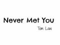 Never Met You Lyric Video // Tom Law - HD 