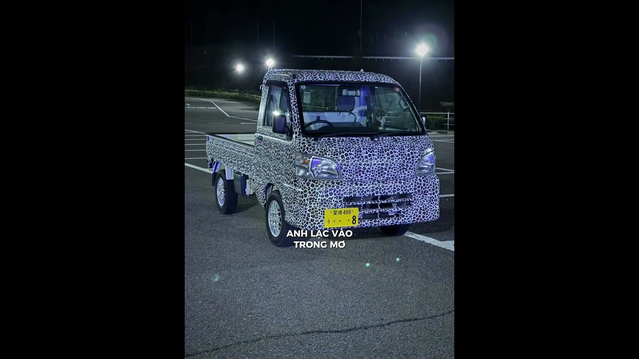 ヒョウ柄 #ヒョウ柄 #軽トラ女子 軽トラ