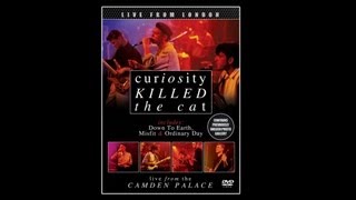Curiosity Killed The Cat - Mile High