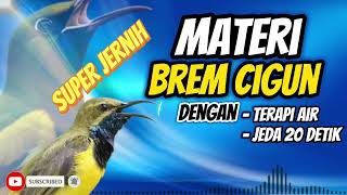 Download lagu MASTERAN SOGON MATERI BREM CIBLEK DENGAN TERAPI AIR DAN JEDA 20 DETIK!! #sogon #sogokontong mp3