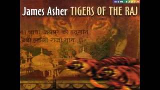 james asher tigers of Raj gates of temple