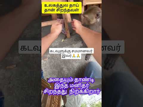 🙏இந்த உலகில் கடவுளை🙏பார்த்திருக்கிறீர்களா. வாங்க பார்க்கலாம் 🙏🙏🙏🙏❤️❤️❤️❤️
