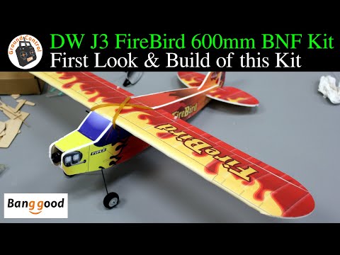 First Look & Build of this BNF Kit - Dancing Wings Hobby J3 FireBird
