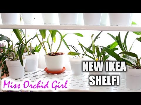 New shelf for my Orchids! - IKEA Mulig storage series