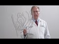 Pelvic Organ Prolapse