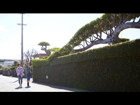 Itoman Travel Promotion Video "Strolling" (English version)