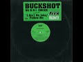 Buckshot I Ain T No Joke Instrumental