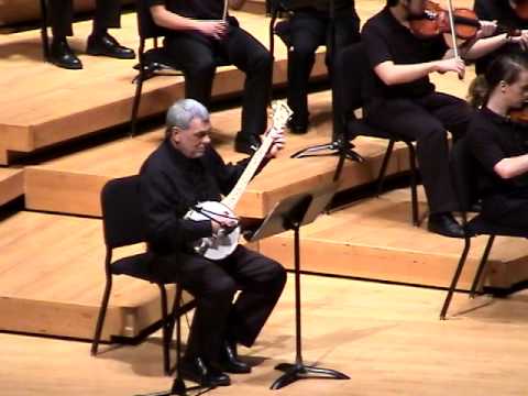 Banjo Kazooie By University Of Maryland Gamer Symphony Orchestra