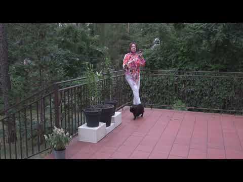 Lucyna Owsińska - Warszawa jest smutna bez ciebie (nowa wersja)