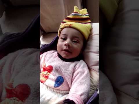 My name is wail Sher.I m 6th month old.