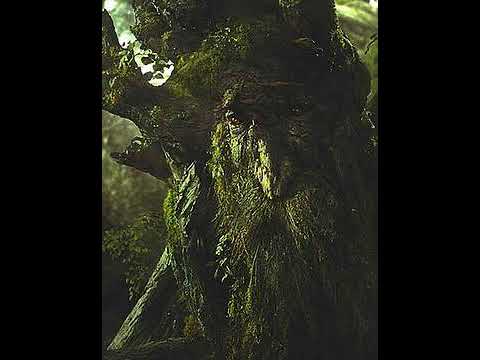 Ents and Entwives - Rob Inglis