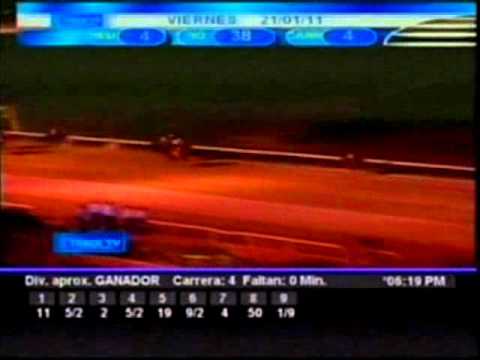 Viernes, 21 de Enero de 2011 - Valencia