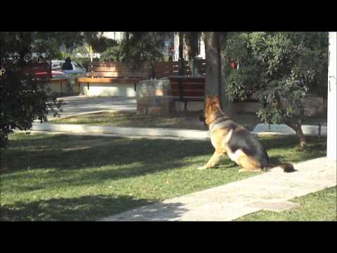 Olivia Ruiz & Blankass because the night