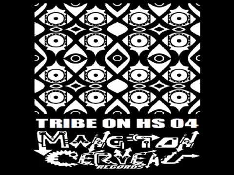 Disakortex - Tek Vibes (Tribe On Hs 04) MTC Records