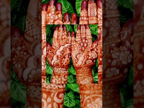 Tej special mehndi #bollywoodsongs #bollywood #hindisong #mehndi #mehandibysoniparwaiz