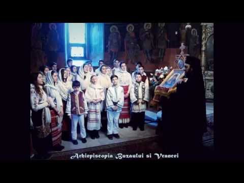 MICII COLINDATORI DIN VALEA PARULUI