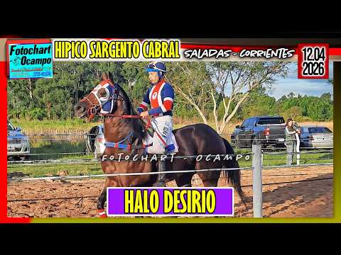 HALO DESIRIO  Saladas CTES  12 04 2026