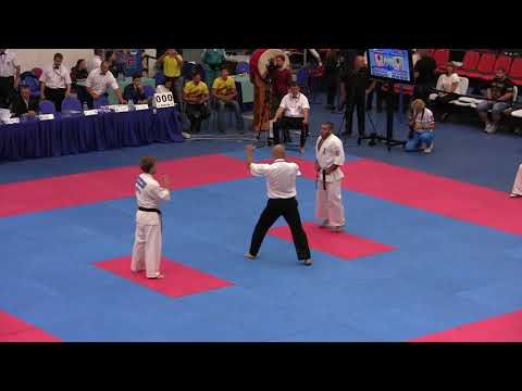 Волынко Константин - Даниелян Айк KWU 2017