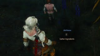 The Witcher 3 - Gather Wolfsbane (Ciri's Story: The King of the Wolves)