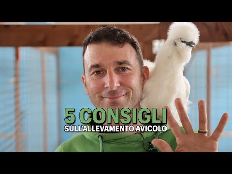 , title : '5 CONSIGLI SULL'ALLEVAMENTO AVICOLO'