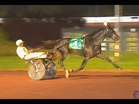 Tactical Landing & B Sears/J Takter wins Breeders Crown 3 y o colts in 1.52,1 at Pocono Downs